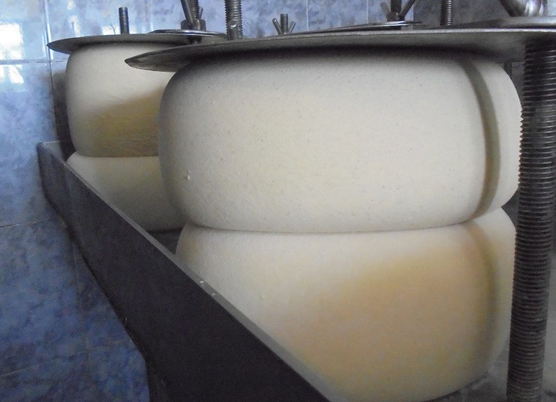 BREXITUL și putina cu brânză: cât vinde România în Marea Britanie