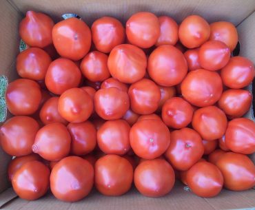 Piața tomatelor: România importă dublu din afara spațiului european, cu precădere din Turcia, față de cantitatea cumpărată de la statele membre