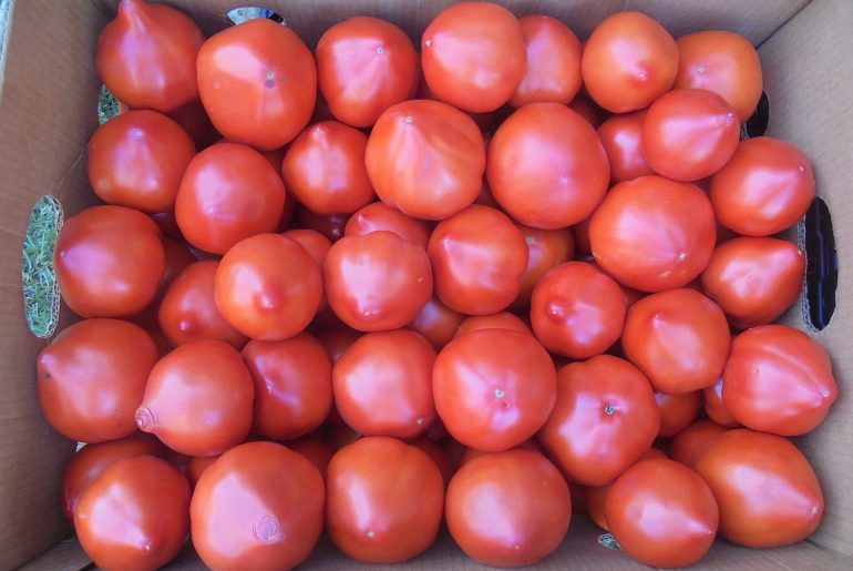 Prețul tomatelor în Uniunea Europeană: 2,15 euro/kg, în luna martie; roșiile franțuzești, cele mai scumpe