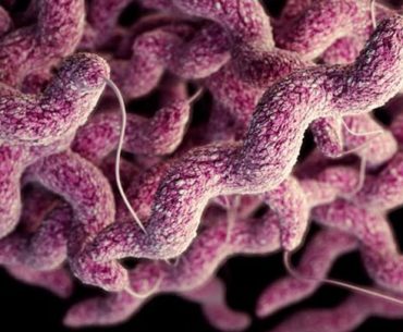 Număr mai mare de îmbolnăviri, din surse alimentare, cu Campylobacter, în România, în 2019 față de anii precedenți; rata infectărilor rămâne, însă, printre cele mai mici din U.E.