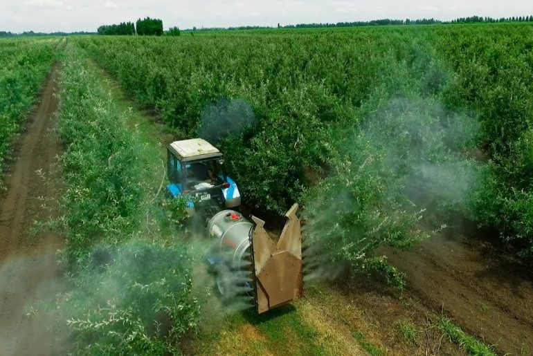 Raport ANSVSA: legumele și fructele din România și Turcia, cele mai contaminate cu pesticide; fermierii români folosesc substanțe interzise în U.E.