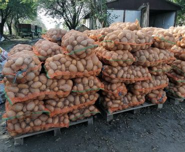 86.300.000 de euro câștigați de legumicultori și cultivatori de cartofi care au depus cereri de finanțare la AFIR; aproape jumătate din proiectele eligibile au fost depuse de cooperative agricole