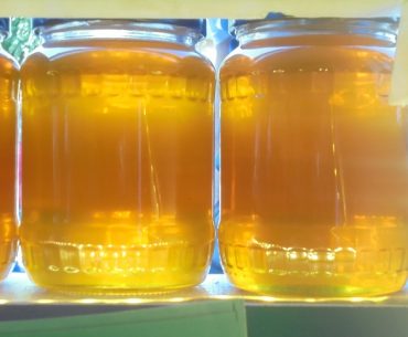Albine și rachete: sectorul apicol din Ucraina, al șaselea producător mondial de miere, expus efectelor invaziei rusești