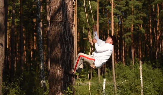 Apicultura tradițională arboricolă, practicată în Polonia și Belarus, inclusă de UNESCO în Patrimoniul Cultural Imaterial al Umanității