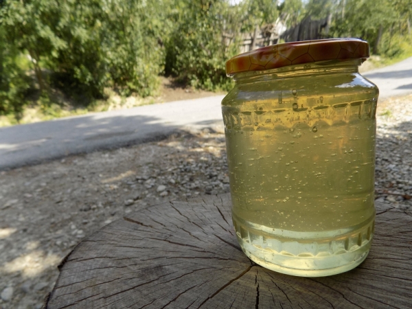Apicultorii din județul Arad au obținut o cantitate de miere mai bună decât anul trecut, dar susțin că ar trebui să recolteze de trei ori mai mult ca să ajungă la o cantitate profitabilă