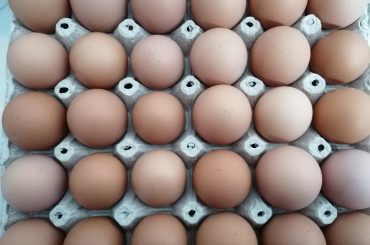 Lantulalimentar.ro în județul Călărași: Un tânăr antreprenor crește găini în sistem ecologic și vinde ouăle într-o rețea de supermarketuri din București