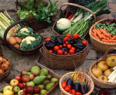 Grădina prințului Charles: găini ouătoare, pomi fructiferi și legume, în sistem bio
