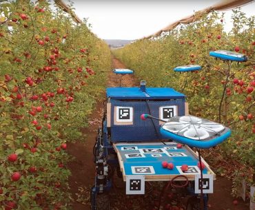 Roboții zburători concepuți de compania israeliană Tevel, trimiși la cules de caise în Italia; invenția va revoluționa pomicultura din întreaga lume