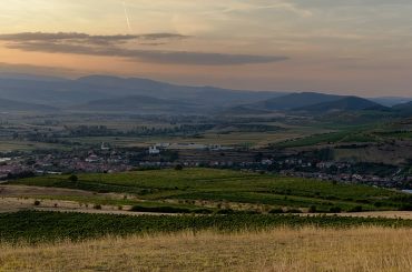 ”Pivnița Savu” din Ciumbrud a dat lovitura la Berlin: vinul din soiul Fetească Regală, producție 2020, a fost medaliat cu aur!