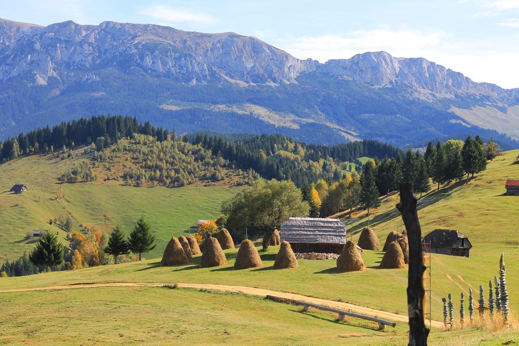 Revista FERMA: ”Fermierii români de la munte au la dispoziție un supliment financiar de 414.800.000 euro”