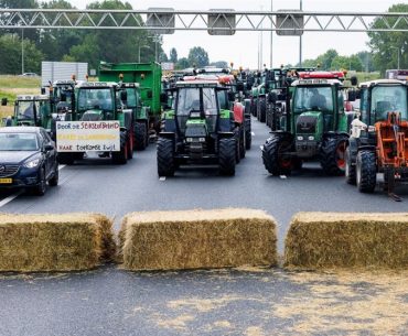 Guvernul olandez vrea reducerea cu 30% a efectivelor de animale din țară, nu a numărului fermelor, așa cum a fost vehiculat mesajul în România; ce sumă va cheltui Olanda pentru Pactul Verde