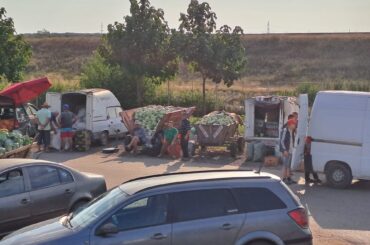 Avantajul unei piețe de gros la țară: legumicultorii din comuna Cilieni, jud. Olt, își vând marfa într-un spațiu organizat, nu pe stradă, ca fermierii din comunele învecinate
