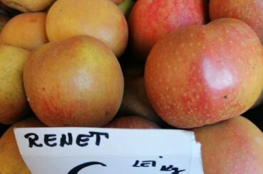 Aliment nou, de origine vegetală, autorizat de Comisia Europeană: biomasa de cultură celulară de mere; substanța va fi utilizată în industria suplimentelor alimentare