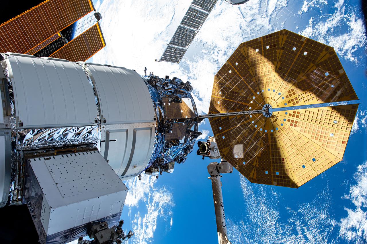 Curcan sau pizza? Ce conțin pachetele cu mâncare trimise astronauților aflați pe Stația Internațională Spațială, cu ocazia Crăciunului Curcan sau pizza? Ce conțin pachetele cu mâncare trimise astronauților aflați pe Stația Internațională Spațială, cu ocazia Crăciunului