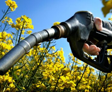 Vânzări de peste un miliard de euro de combustibili biodiesel, din România în Ucraina