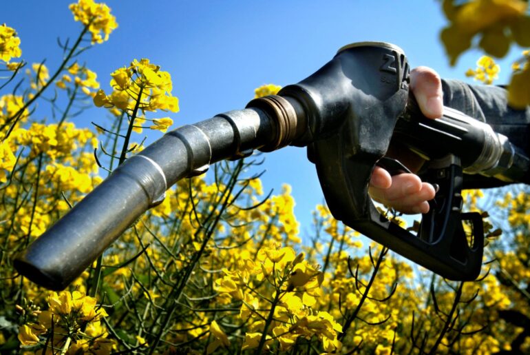 Vânzări de peste un miliard de euro de combustibili biodiesel, din România în Ucraina