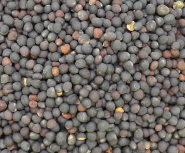 Semințe de rapiță din România, depistate în Germania cu reziduuri de pesticide de aproape zece ori mai mari decât limita maximă admisă