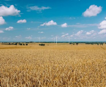 Fermierii italieni recunosc și concurența importurilor de cereale din Turcia și Rusia pe piața internă, pe lângă aceea a importurilor din Ucraina