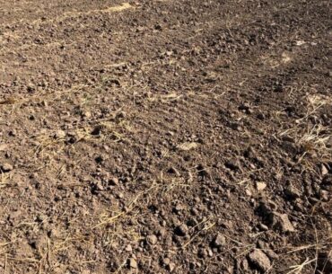 România poate solicita de la bugetul european compensații pentru emisiile de gaze în exces, cauzate de schimbările climatice