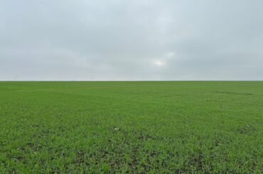 Ploile abundente întârzie semănatul de toamnă în sudul României