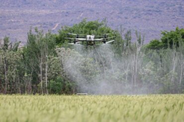 USR vrea legalizarea pesticidelor aplicate cu drone. Fermierii mari susțin, apicultorii se opun