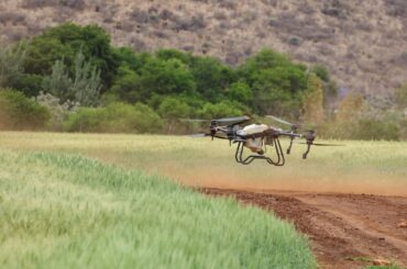 Comisia Europeană propune ca utilizarea dronelor pentru pulverizarea pesticidelor să fie permisă