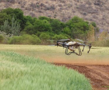 Comisia Europeană propune ca utilizarea dronelor pentru pulverizarea pesticidelor să fie permisă