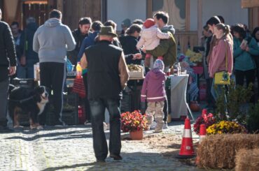 România devine oficial parte din World Farmers Markets Coalition