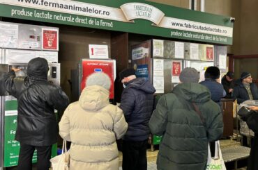 Prețul laptelui de vacă la automat în Piața Obor