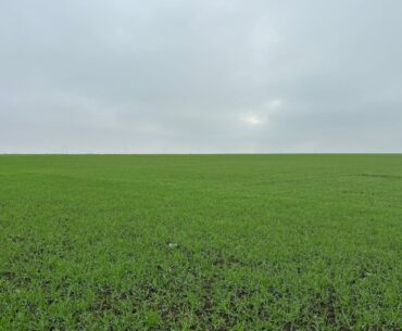 Investiții de 4 miliarde de dolari în biopesticide până în 2030