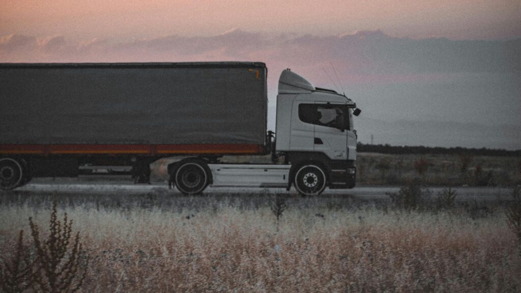Transport ilegal alimente România Irlanda de Nord