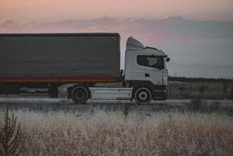 Transport ilegal alimente România Irlanda de Nord