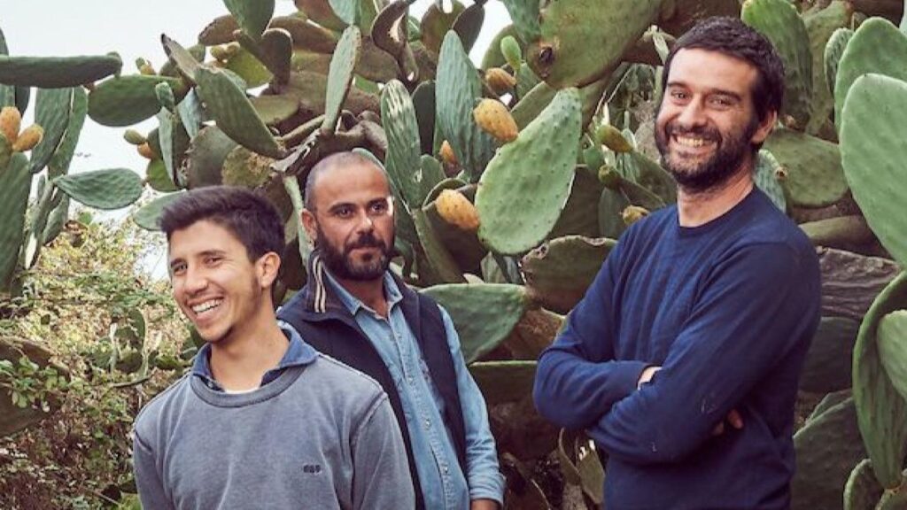 Michele Russo și agroecologia în Sicilia: cum regenerarea terenurilor creează ferme reziliente