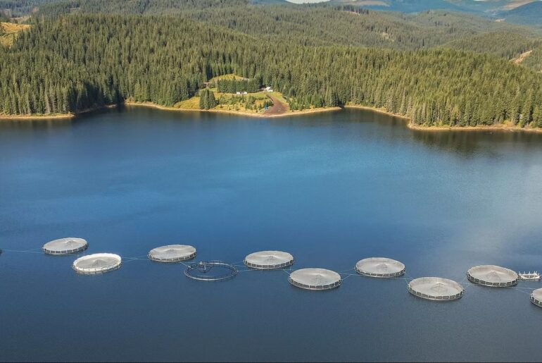 Cooperativa Agricolă „Păstrăvul din Țara Ta” obține certificarea ASC pentru ferma piscicolă de pe lacul Oașa