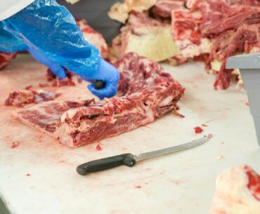 carne de oaie abator