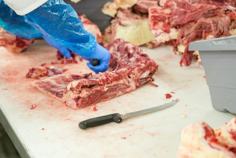 carne de oaie abator