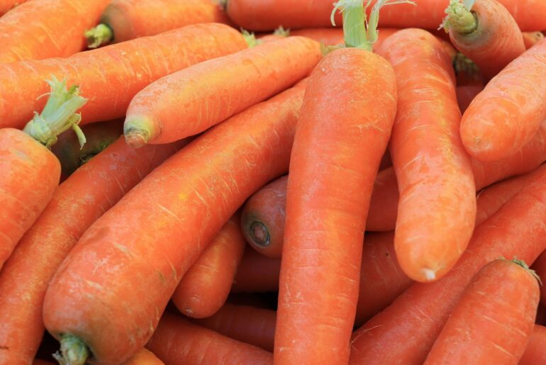 Aliment nou în UE pe bază de morcovi
