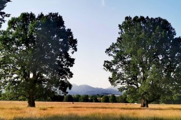 Conservarea naturii
