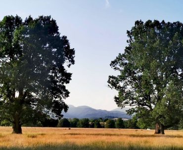 Conservarea naturii