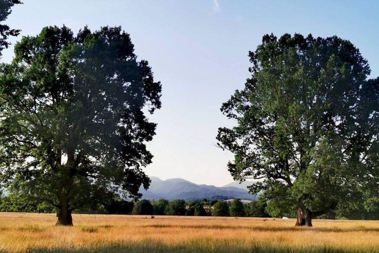 Conservarea naturii