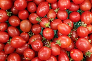 Roșii cherry cu Salmonella