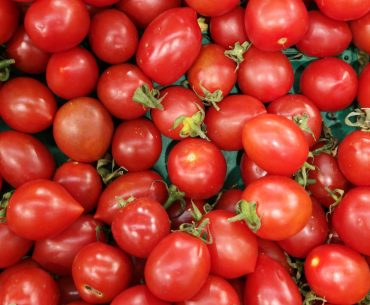 Roșii cherry cu Salmonella